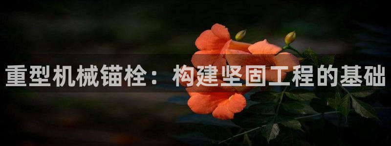 龙八国际服官网站