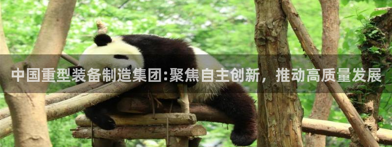 龙八国际发哥下载