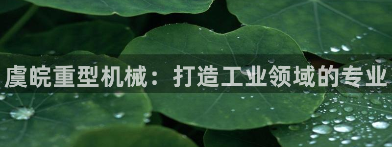 龙八国际是个什么游戏机