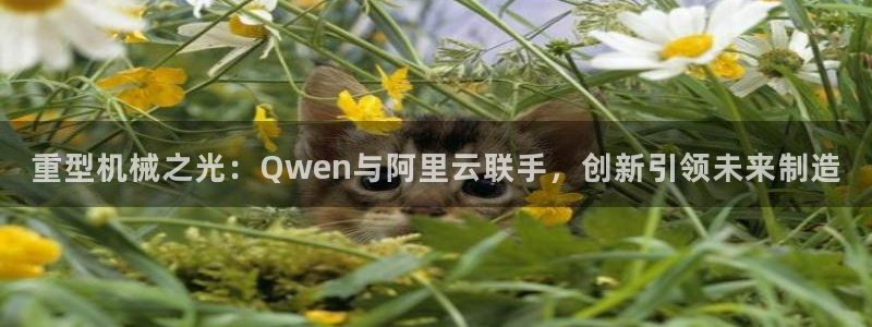 龙八国际官网产品介绍