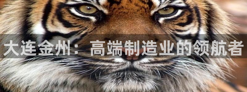 龙八国际娱乐官网app