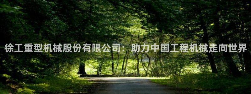 龙八国际娱乐正版