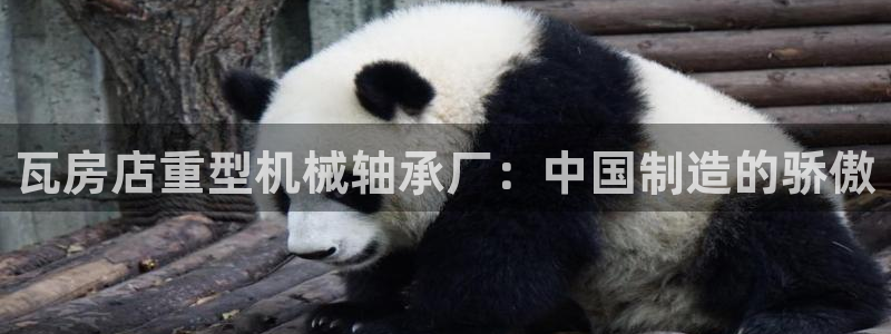 龙八国际网站手机版