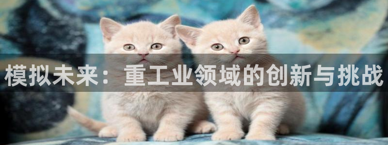 龙八国际 long5658.com