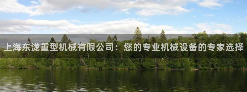项目名称龙八国际