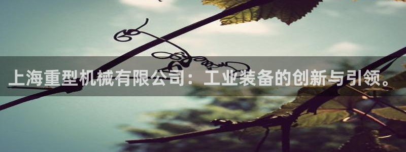 龙八国际app官方网站