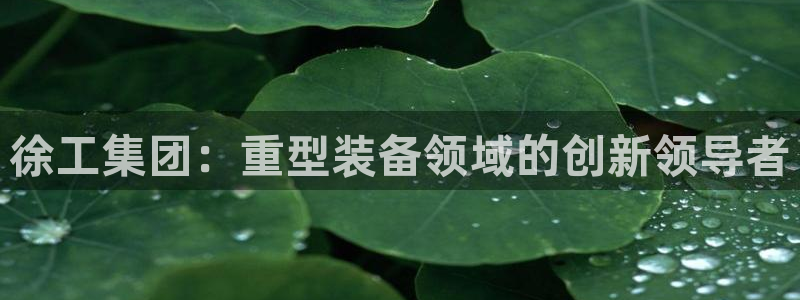 龙八国际App下载地址