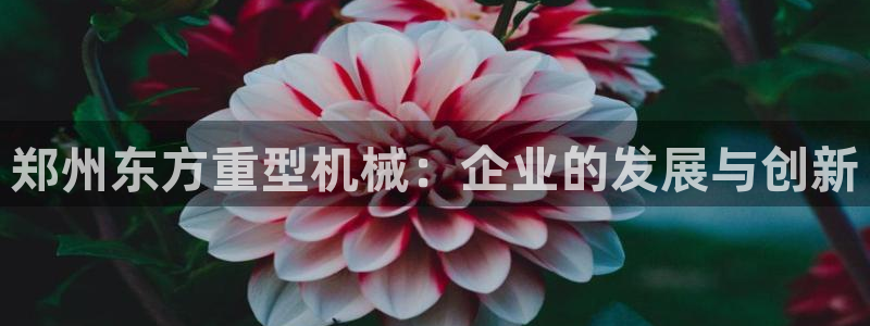 龙八国际平台安卓