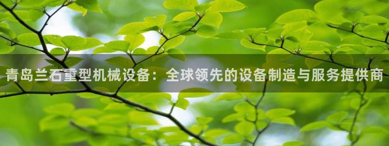 龙八国际客户端官网下载