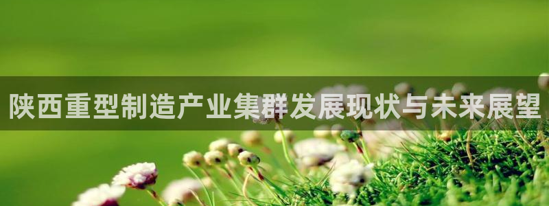 龙八国际手机版下载官网
