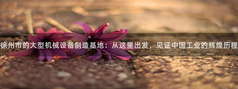 龙八国际游戏下载