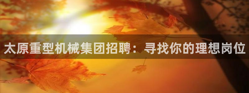 龙八国际网站多少