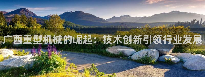 龙八国际APP客户