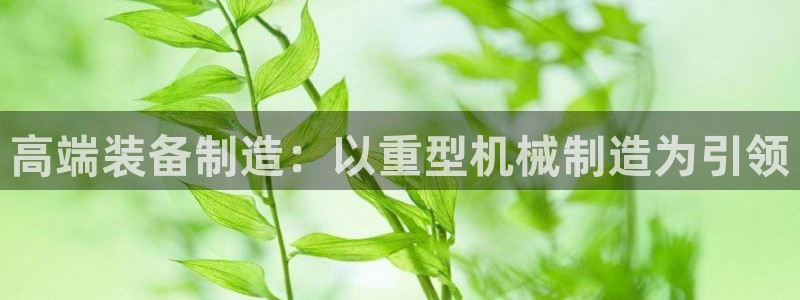 龙八国际娯乐城
