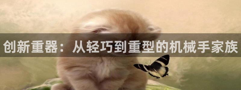 龙八国际娱乐pt