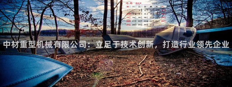 龙八国际集团有限公司