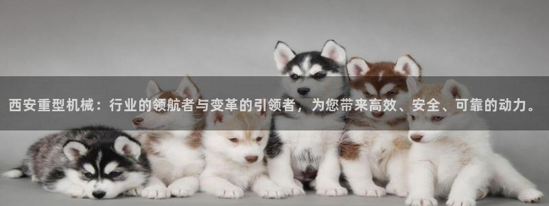 龙八国际赌场