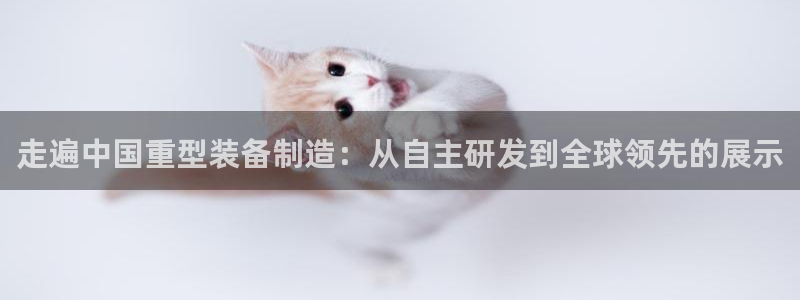龙八国际app安卓