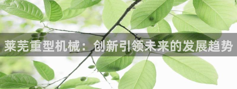 龙八国际b48点tv
