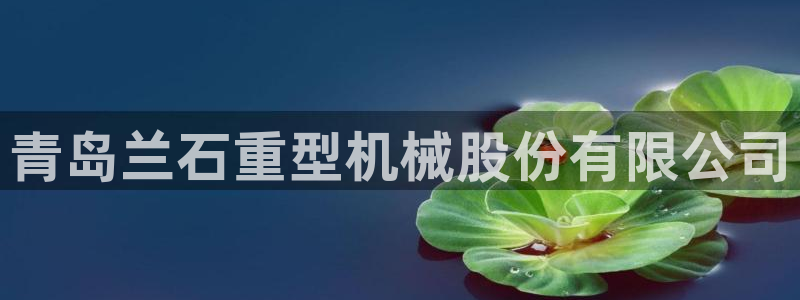 龙八国际下载链接手机端