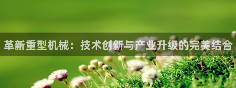 龙八国际什么游戏给钱