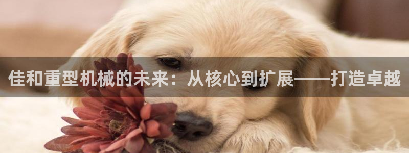 龙八国际服官网入口
