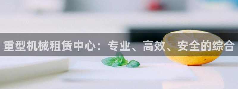 龙八国际l8520
