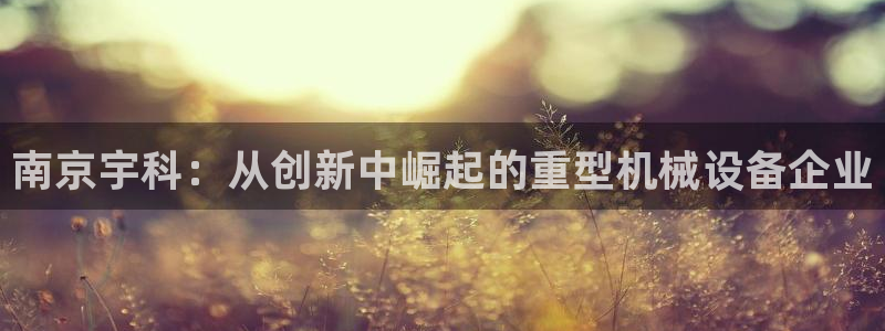 龙八国际贸易有限公司