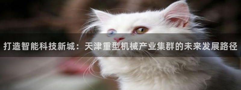 龙八国际app客户下载