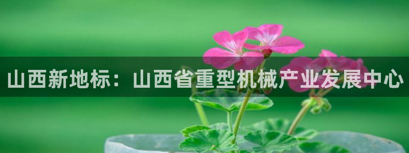 菲律宾龙八国际杀猪