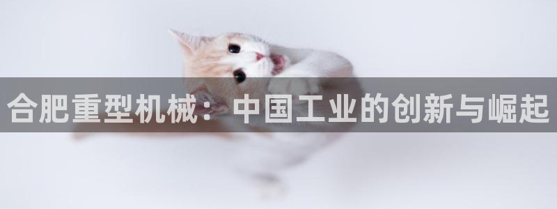 手机版龙八国际