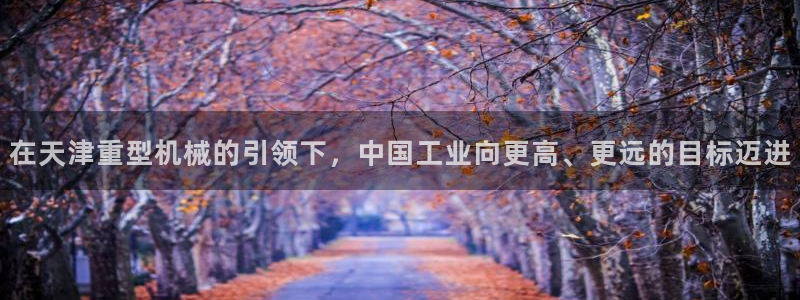 龙八国际手机版官网平台