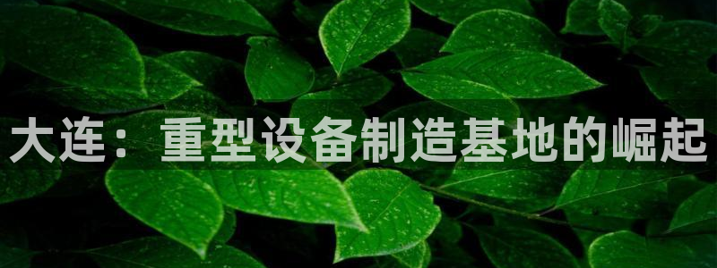 龙八国际娯乐城软件下载