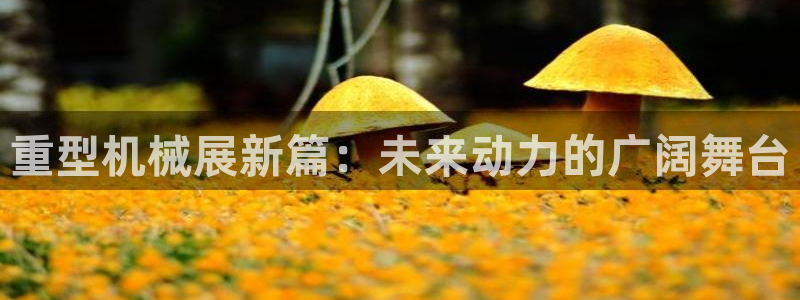 龙八国际客户端下载苹果