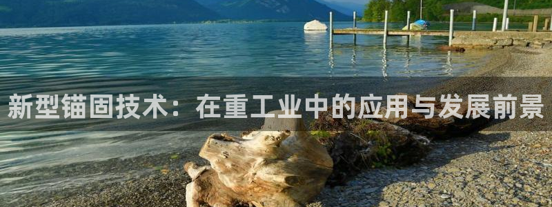 怎么举报龙八国际