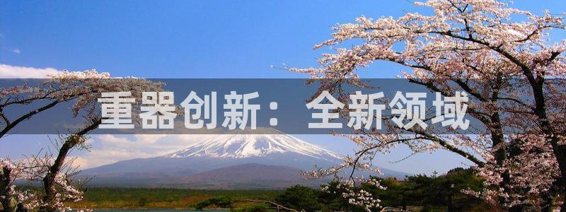 龙八国际代理app