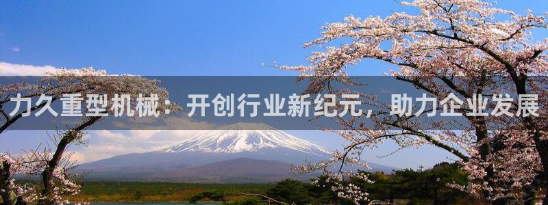 龙八国际服官网