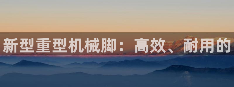 龙八国际 long5658.com