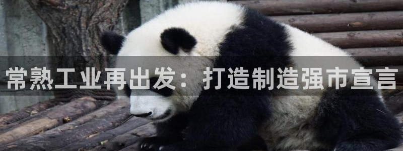 龙八国际app客户端下载手机端