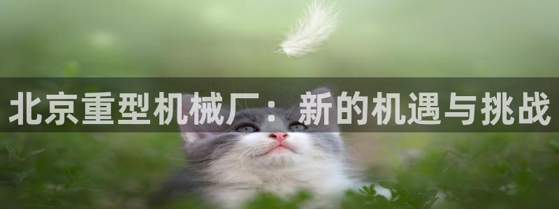 龙八国际官方娱乐网站com