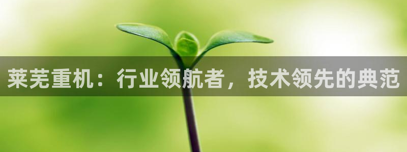 龙八国际电脑版下载