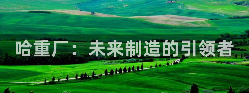 龙八国际app客户端下载手机端