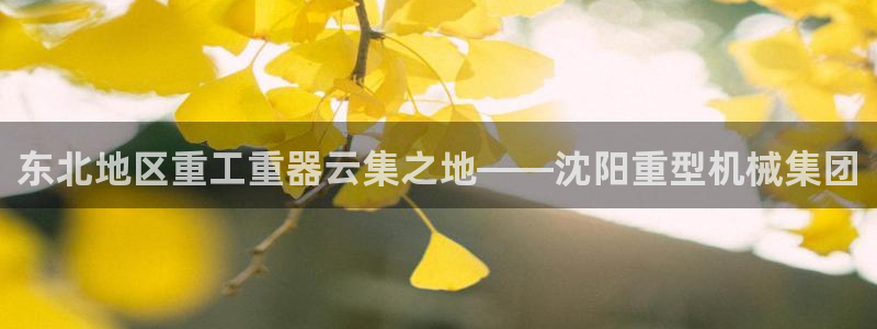 龙八国际备用地址