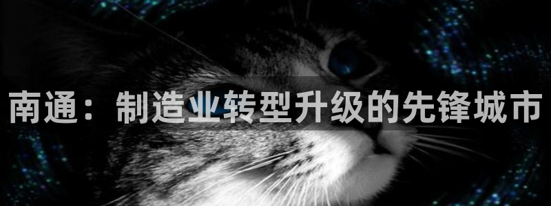 龙八国际游戏下载地址