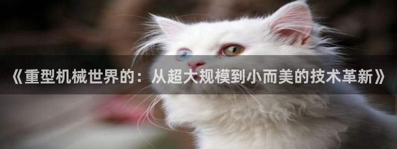 龙八国际网页版本