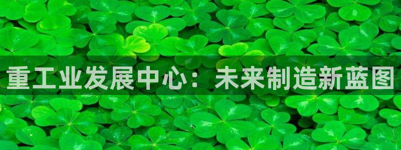 龙八国际娱乐正版