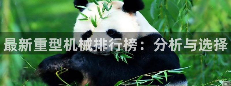 龙八国际下载安装