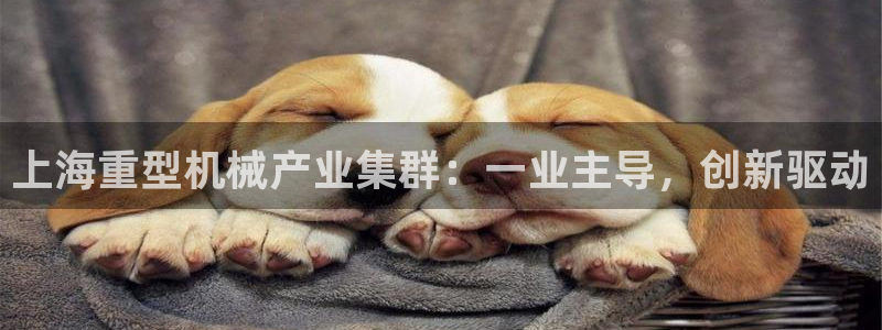 龙八国际官网产品介绍