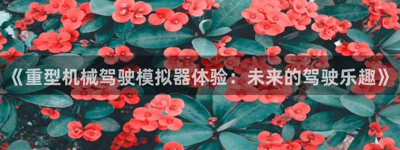 龙八国际pt娱乐老虎机