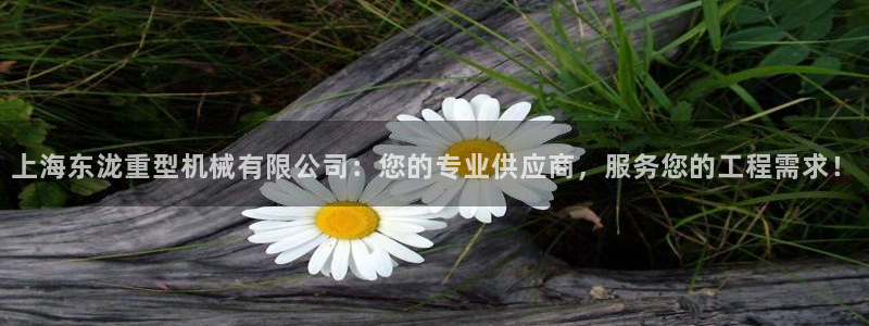 龙八国际娱乐充值